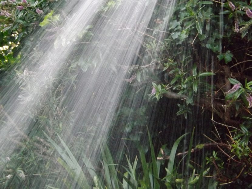 Riego del jardín con manguera apuntando al suelo