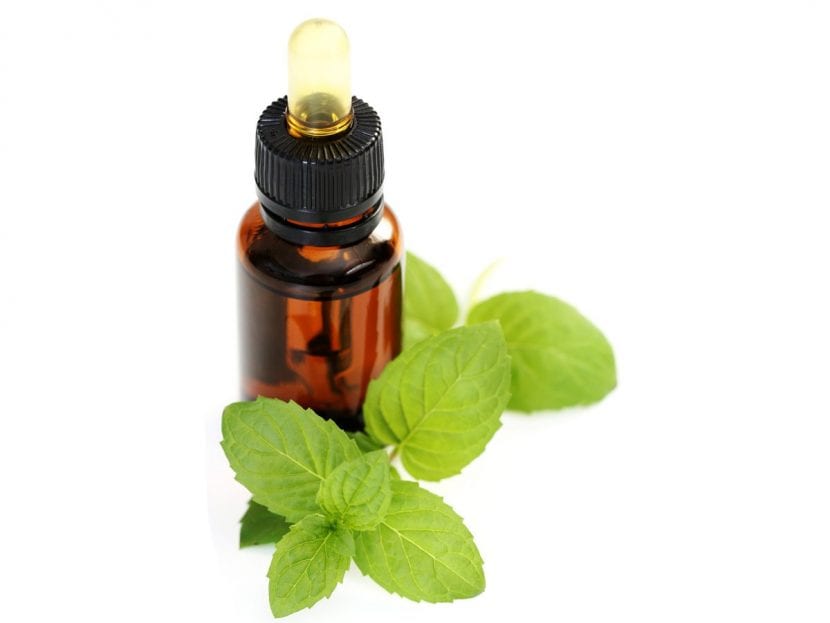 Frasco de aceite esencial de menta