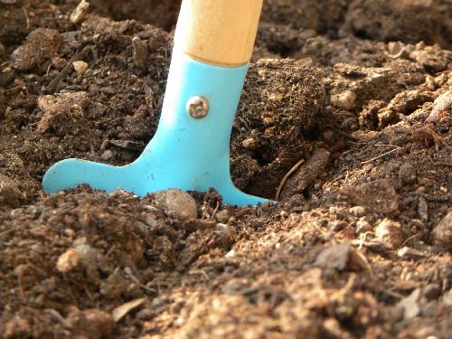 Tierra de jardín trabajada y suelta entre las manos