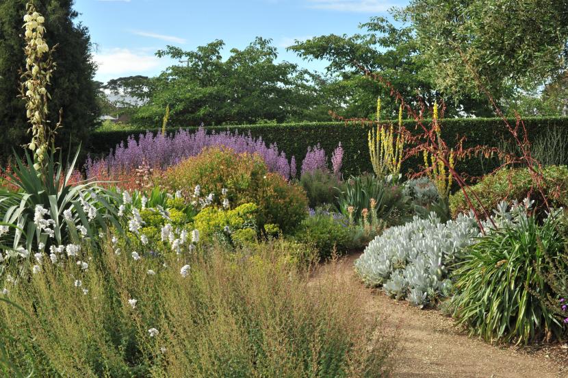Textura del suelo del jardín: cómo saber cuál tienes