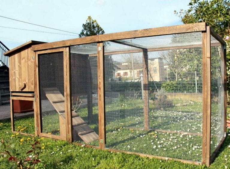 Gallinero de madera con puerta y ventilación