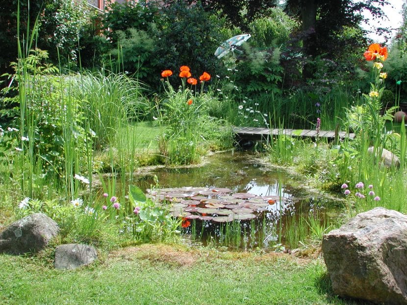 Jardín ecológico con vegetación variada