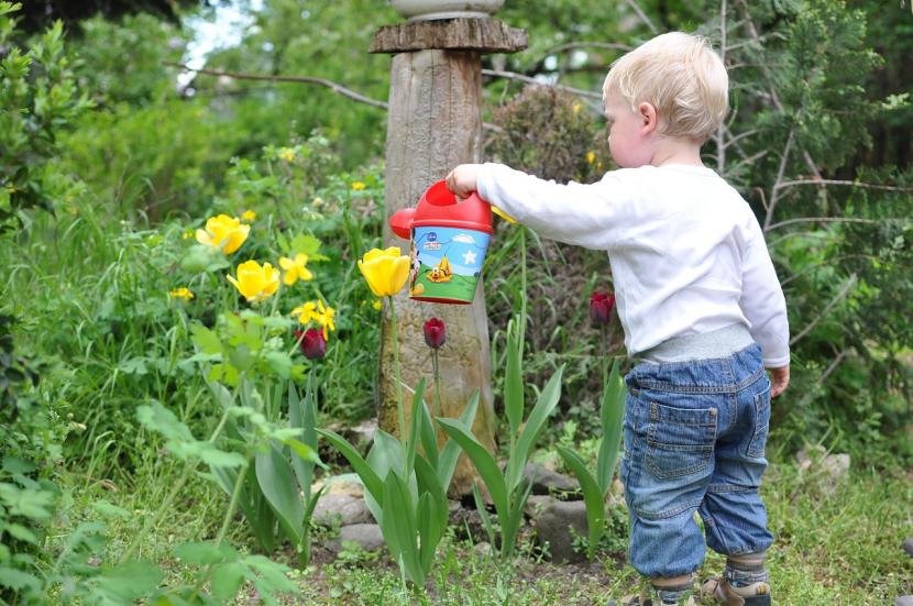 Cuidar plantas con niños: guía práctica por edades