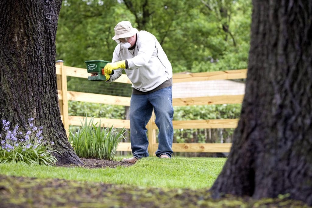 Fumigación de plagas: cómo tratar el jardín con seguridad