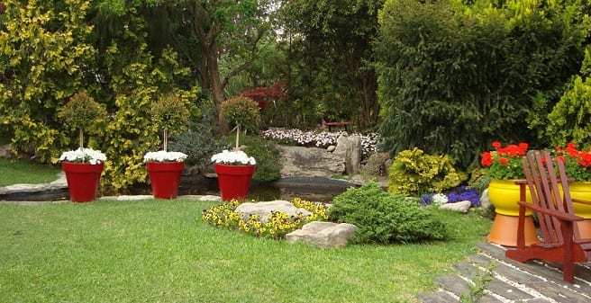 Jardín de bajo mantenimiento: diseño, plantas y riego