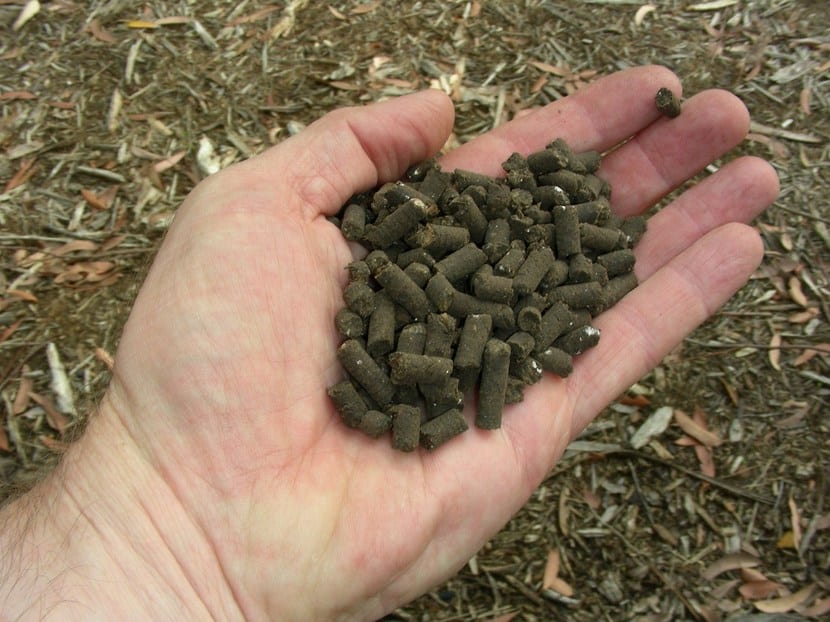Aplicación de fertilizante granulado sobre la tierra de una planta