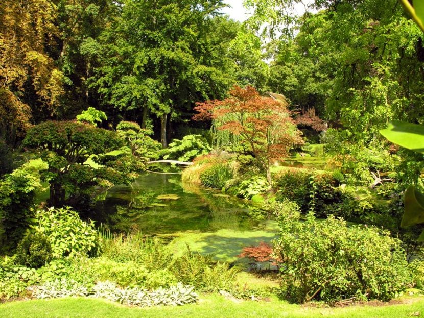 Cuidados del jardín en verano: riego, poda y plagas