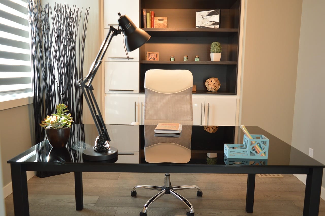 Plantas para oficina: cuáles aguantan y dónde ponerlas