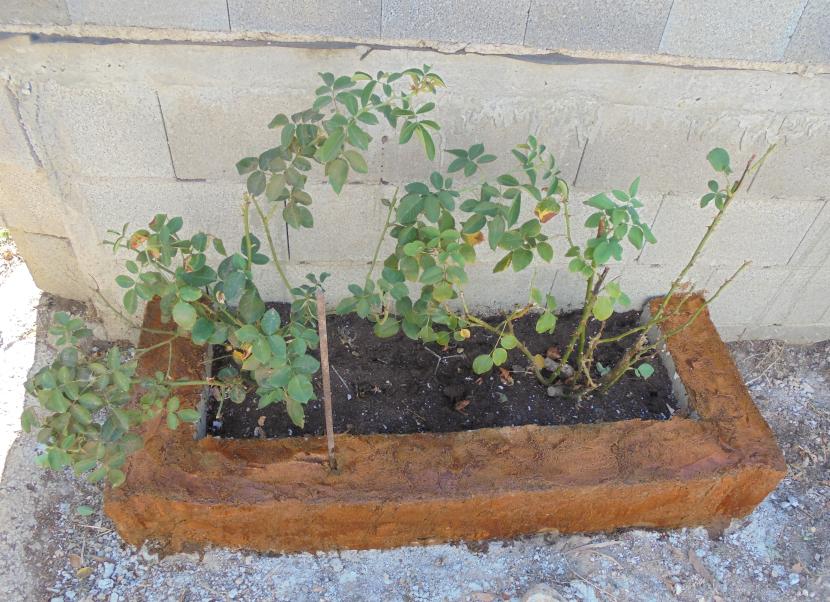 Pintar una jardinera de bloques de hormigón sin que salte
