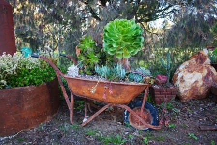 Carretilla vieja reconvertida en jardinera con suculentas