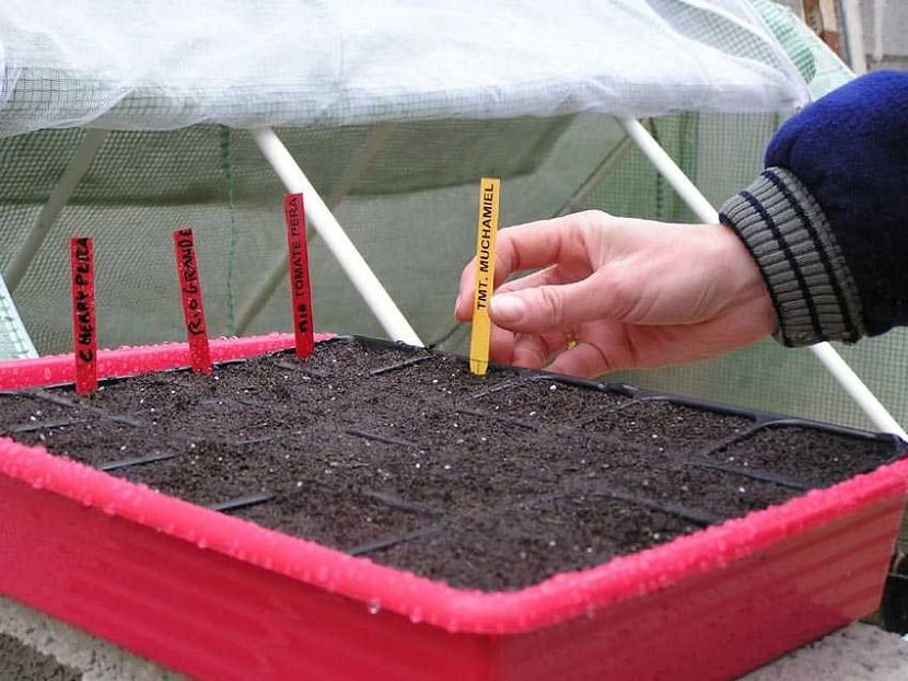 Etiquetas caseras identificando plantas en un jardín