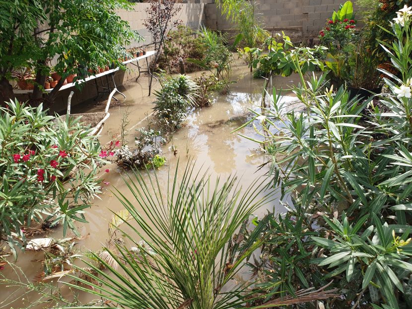 Jardín inundado tras un temporal de lluvia