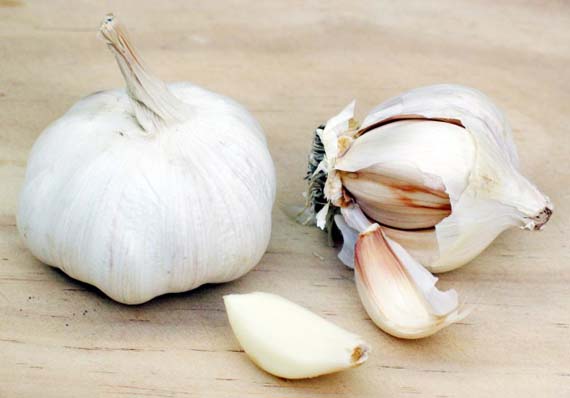 Repelente casero de insectos con ajo: receta y dosis