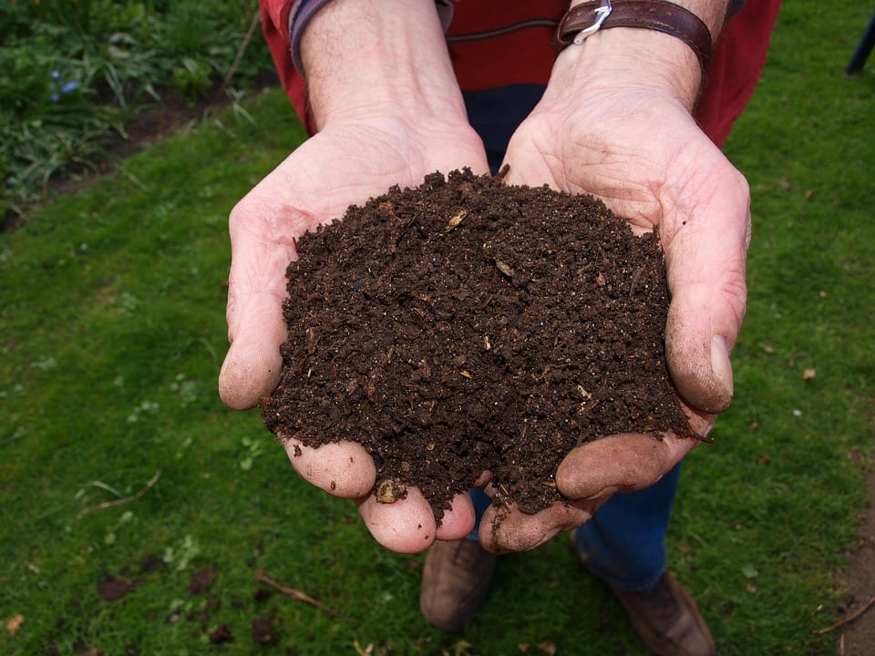 Fertilización de plantas: nutrientes, dosis y calendario