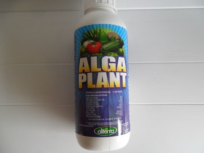 Fertilizantes de algas: qué aportan y cómo aplicarlos