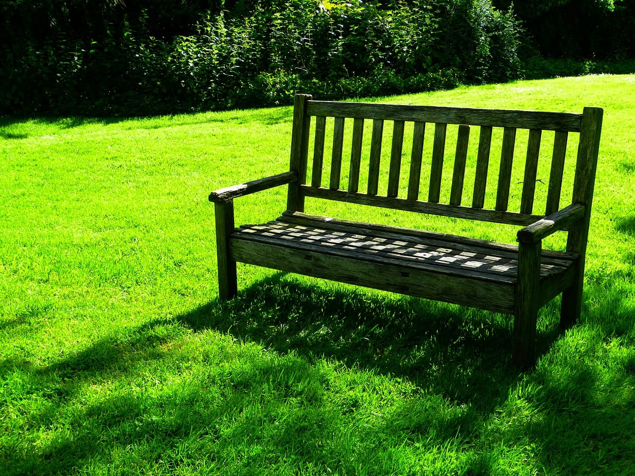 Cómo airear un jardín: césped, suelo y plantas