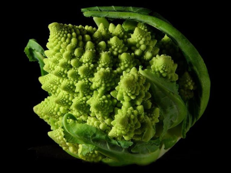 Pella de Romanesco con sus conos repetidos en espiral