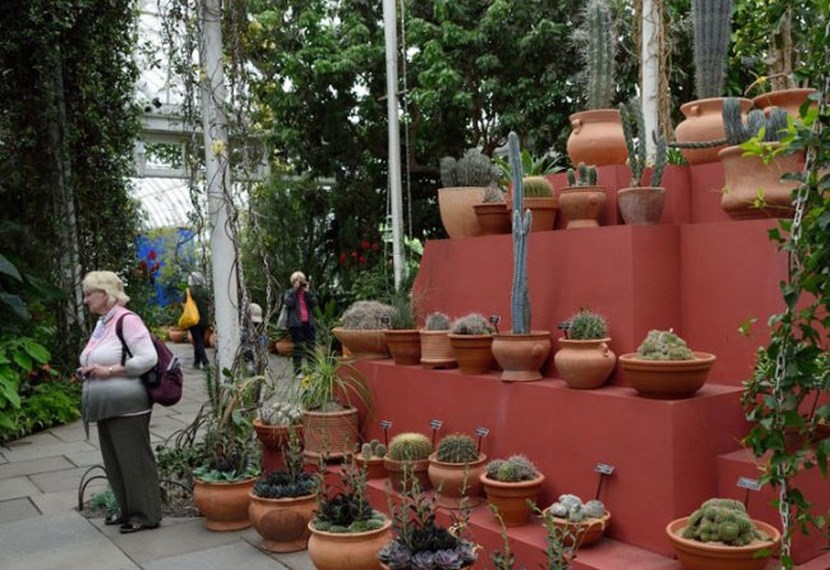 Jardín de estilo mexicano con muros de color y vegetación densa