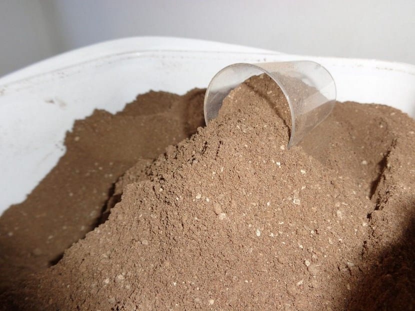 Guano de murciélago: dosis, riesgos y usos reales