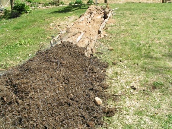 Bancal de hugelkultur en montículo con vegetación