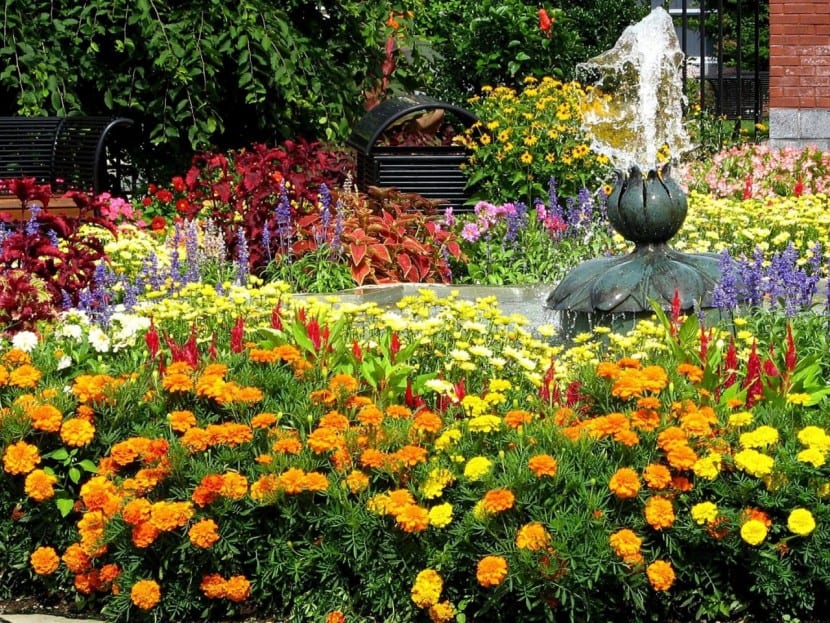 Jardín con macizo de flores y arbolado de fondo