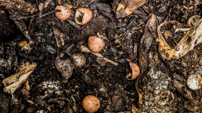 Compost maduro, fuente natural de microelementos y de ácidos húmicos que los mantienen disponibles