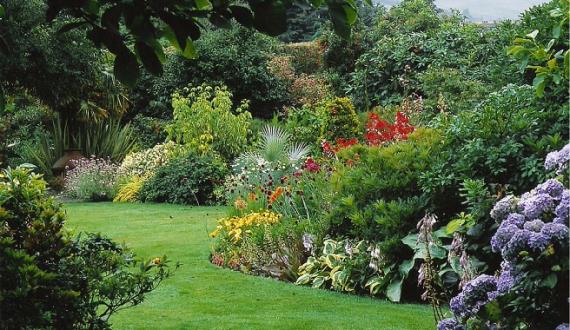 Jardín con parterres y césped en suelo bien drenado