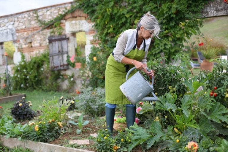 Jardín ecológico con floración diversa y sin tratamientos químicos