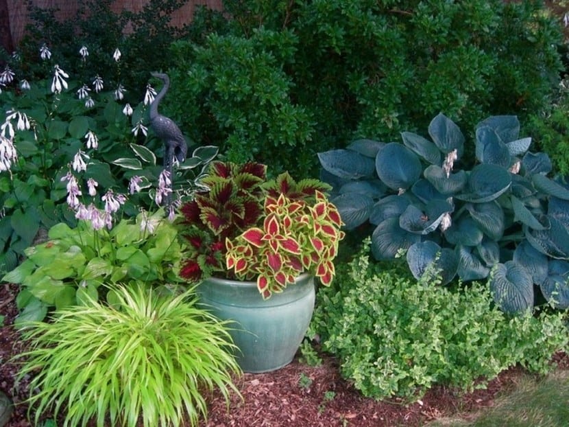 Jardín diseñado con zonas pavimentadas y masas de vegetación