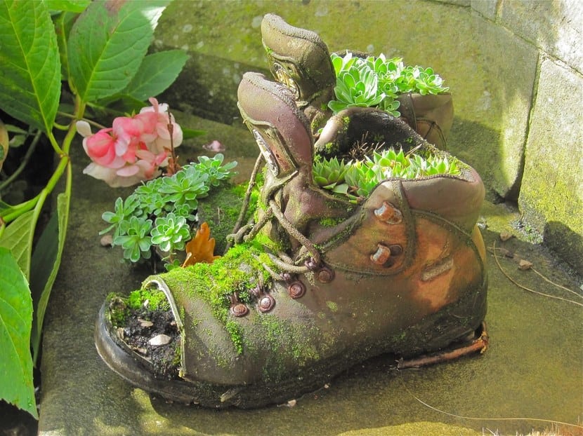 Zapatos viejos colgados y plantados con flores