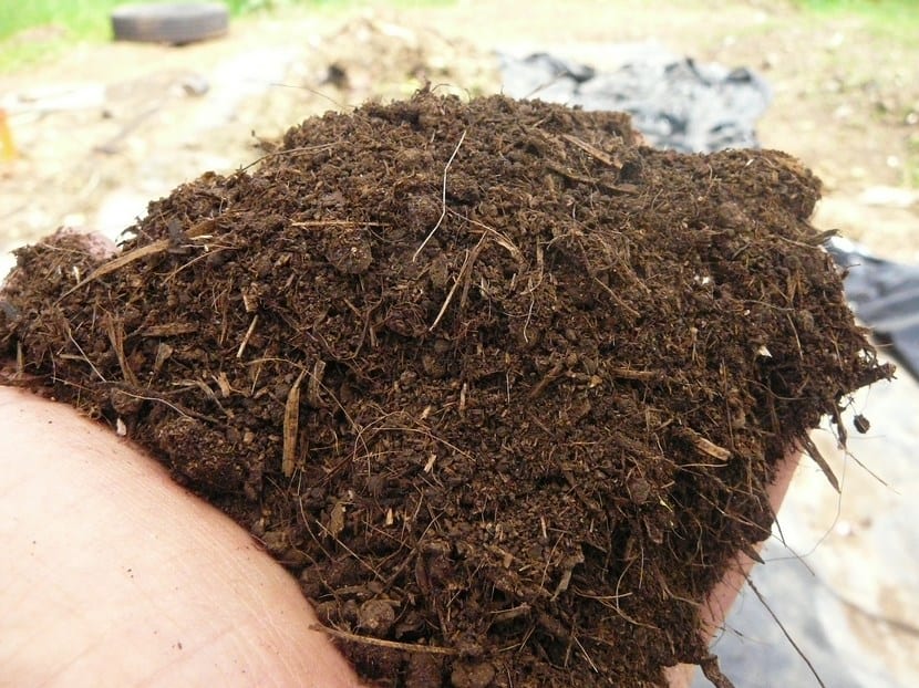 Abono orgánico natural para el abonado de fondo