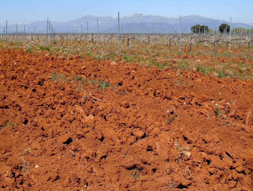 Suelo arcilloso agrietado por la sequía