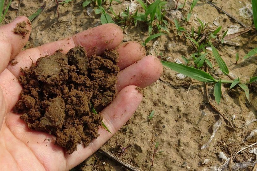 Tierra de jardín trabajada y suelta entre las manos