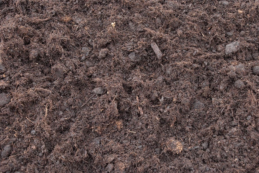 Turba: qué es, tipos y para qué sirve en jardinería