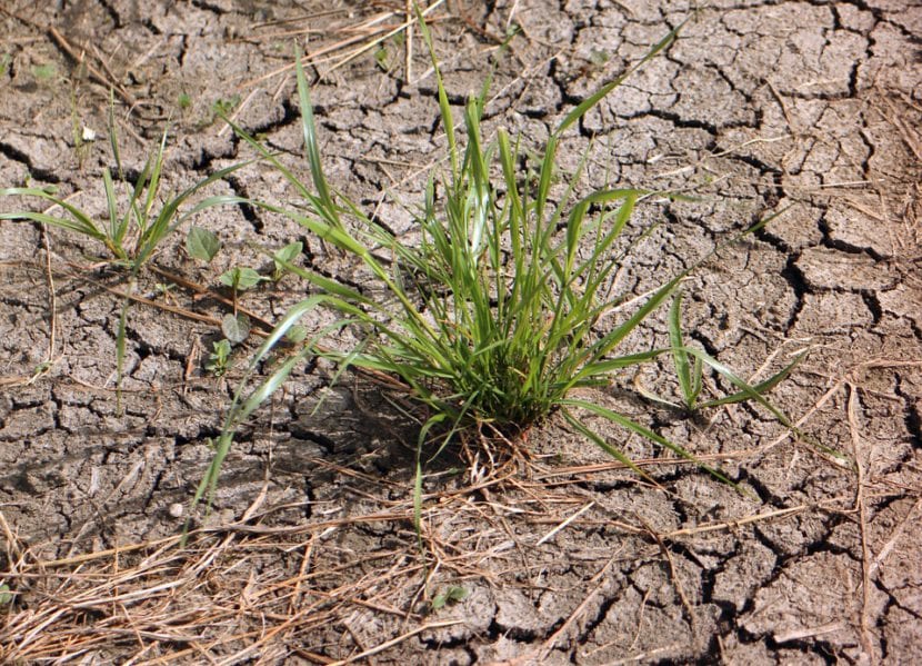 Suelo erosionado, seco y agrietado, sin cubierta vegetal