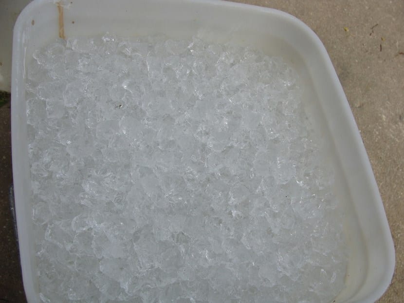 Agua en gel para regar las plantas en vacaciones