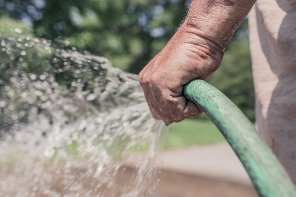Cómo regar las plantas en verano sin pasarse ni quedarse corto