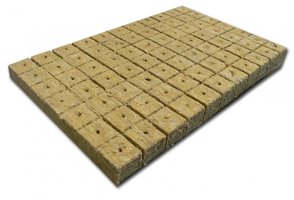 Bloque de lana de roca usado como sustrato de cultivo