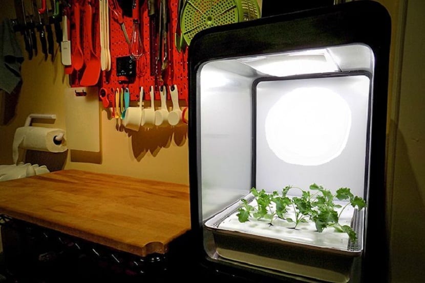 Plantas creciendo bajo luz artificial en el interior reconvertido de un ordenador