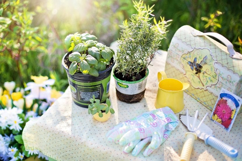 Trabajos de jardinería con herramienta de mano