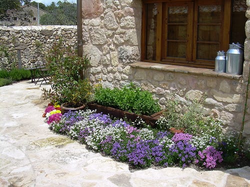 Rocalla pequeña de jardín con piedras aflorando entre plantas tapizantes