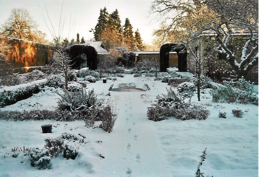 Huerto en invierno con hortalizas de hoja
