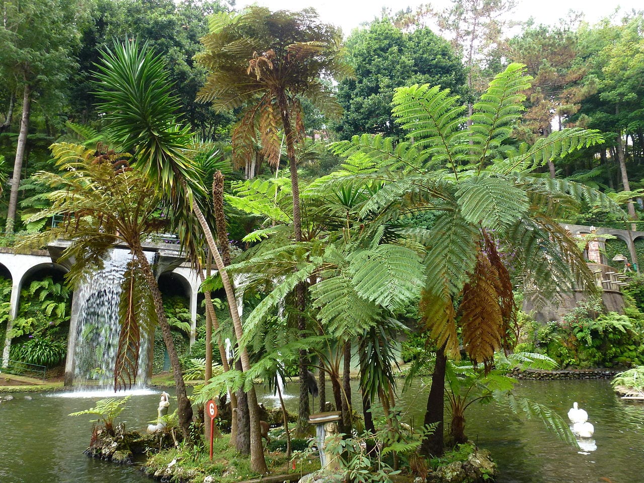 Cómo diseñar un jardín tropical: claves de estilo y plantas
