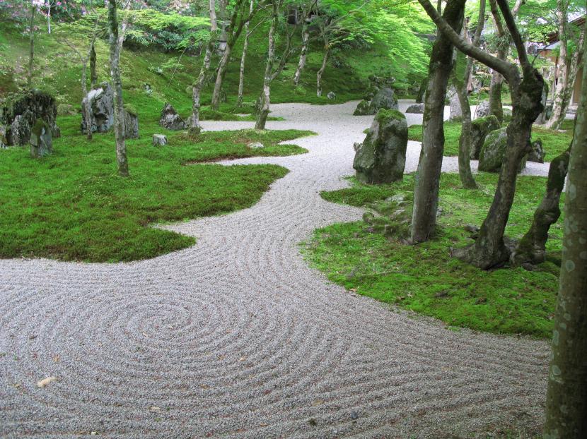 Camino curvo entre plantas en un jardín
