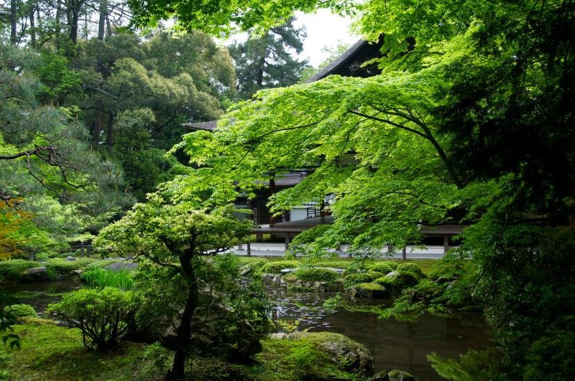 Decorar el jardín con Feng Shui: qué principios funcionan