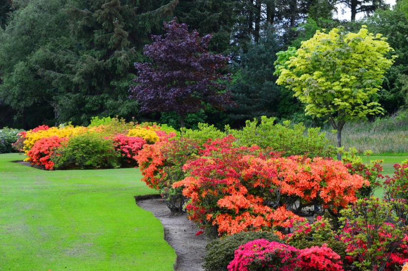 Plantas agrupadas en un jardín de bajo mantenimiento