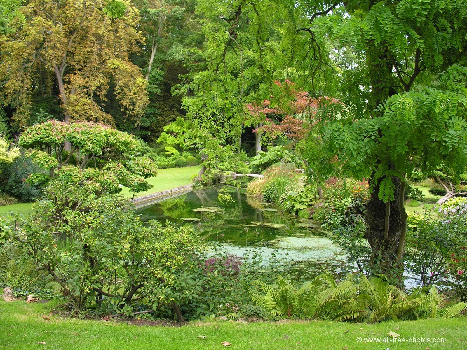 Jardín con vegetación diversa y bajo mantenimiento