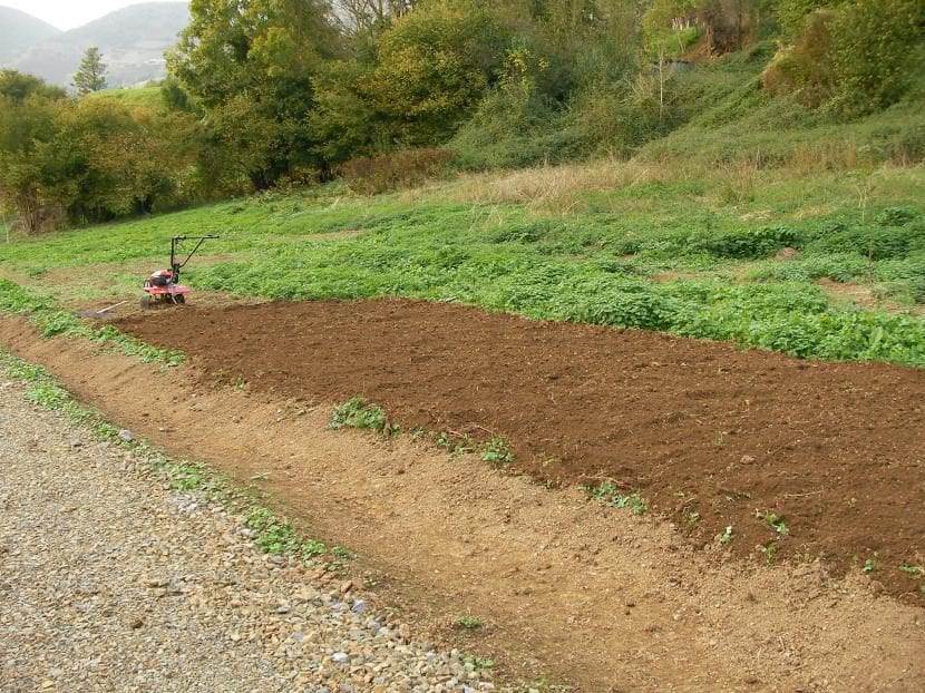 Preparación del terreno antes de plantar un jardín