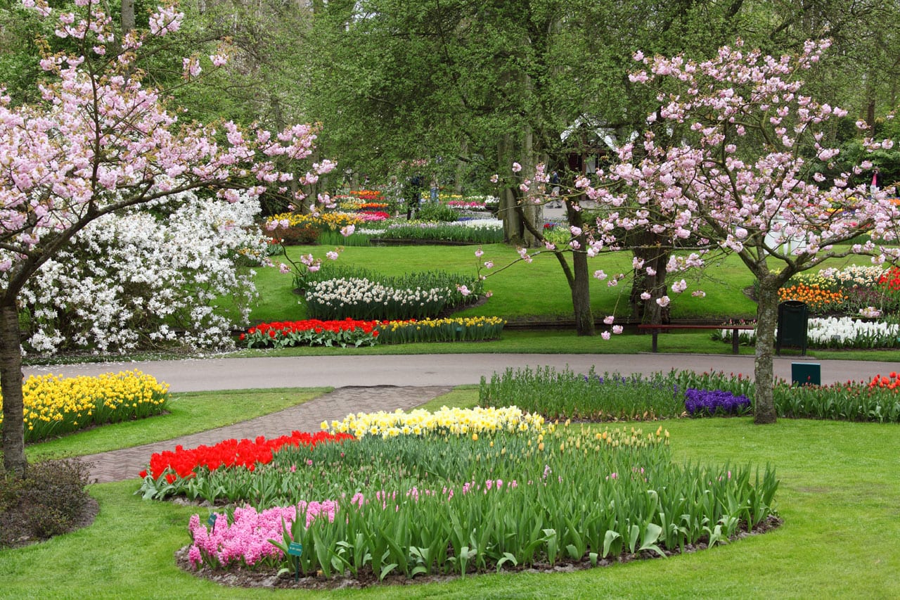 Preparar el jardín para la primavera: guía de tareas