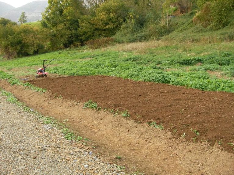 Preparación del terreno de un jardín antes de plantar